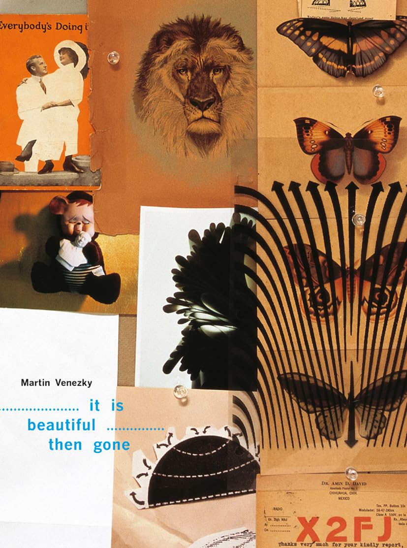 It Is Beautiful -- Then Gone