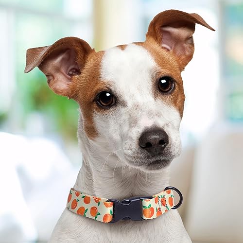 Miniatura 5 de Peaches Dog Collar Personalized (X-Small 58")