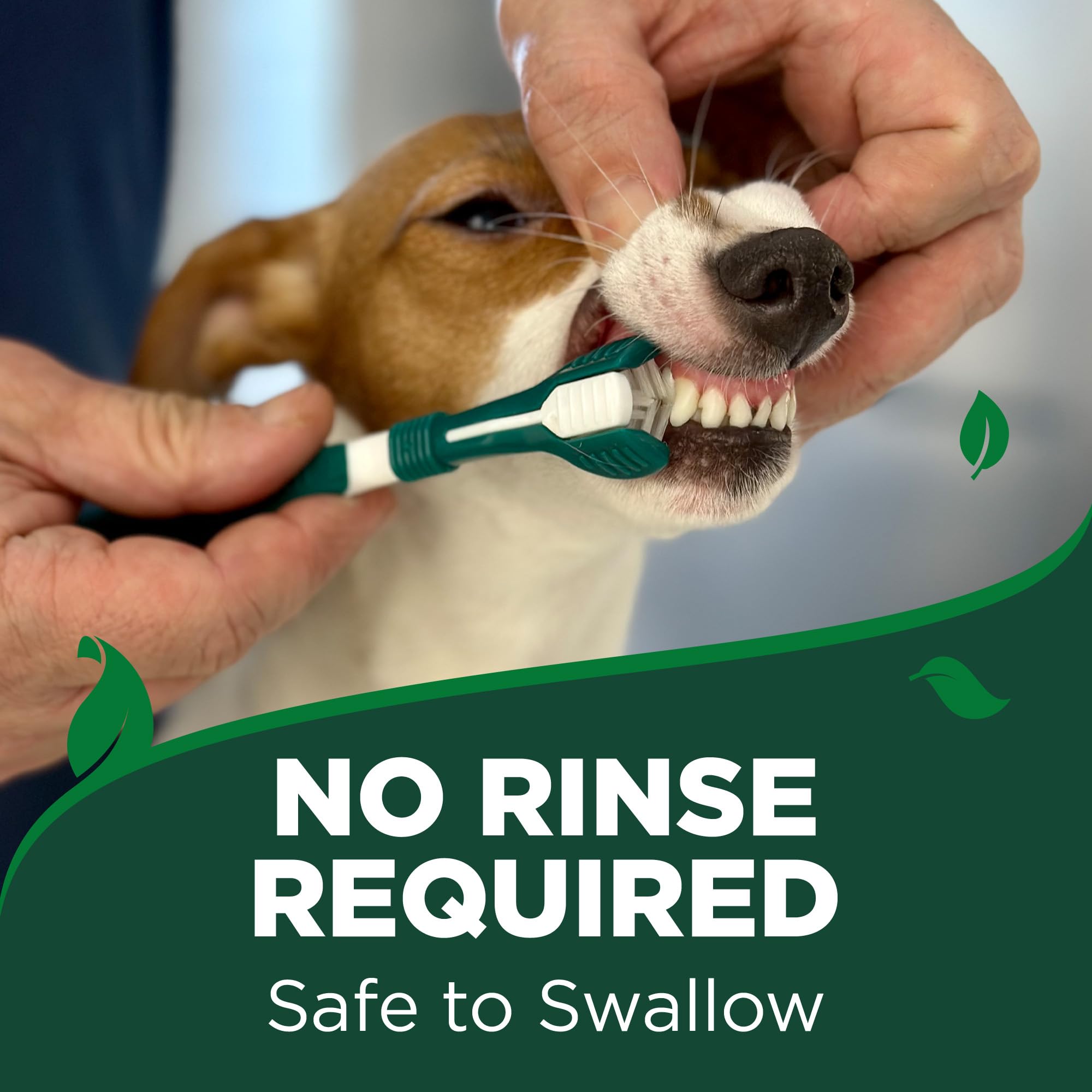 Vet's Best Kit de cuidado dental para perros y gatos – Pasta de dientes enzimática, cepillo de dientes de triple cabeza y toallitas dentales para dedos para eliminación de placa, control de sarro