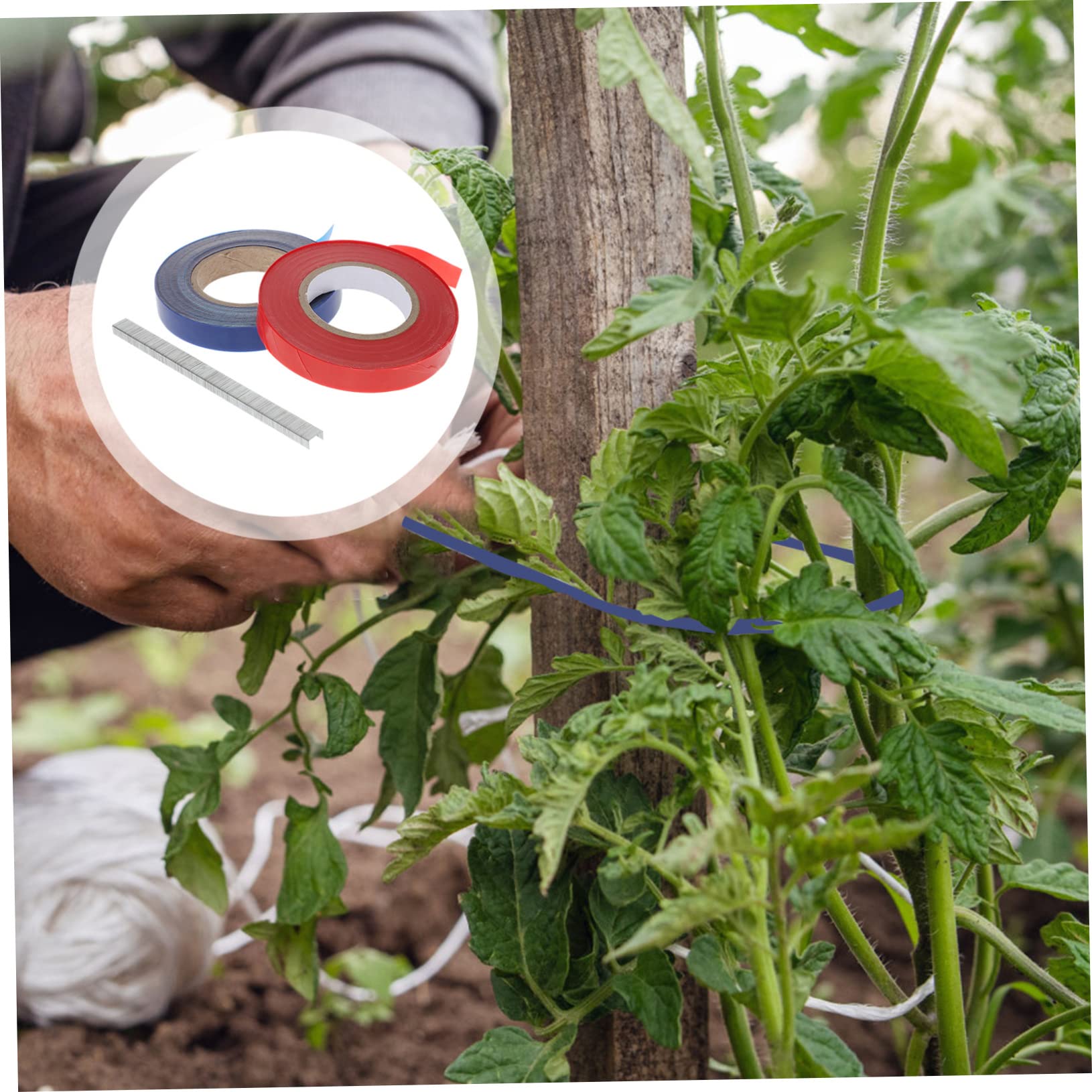SUPVOX 20 Rollos Cinta de Plantas de jardín Herramienta de Cinta de Planta Cinta Verde para Flores Bandas elasticas Bandas elásticas Cinta de Jardin para Plantas Cinta Vegetal Pepino PVC