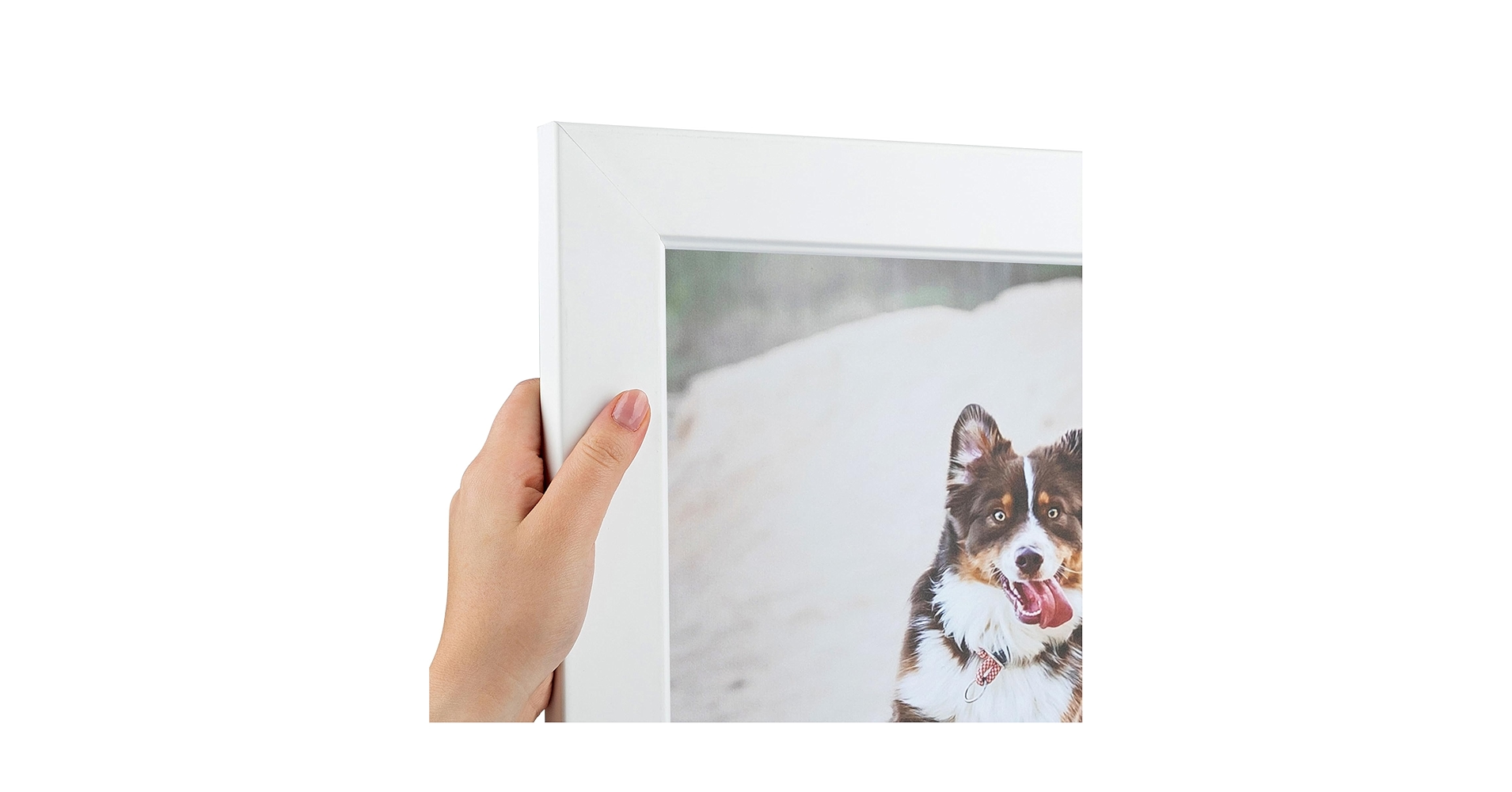 71lptOm4mqL.jpg_BO30,255,255,