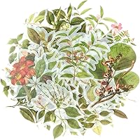 Vista 24 de allydrew Calcomanías decorativas para álbumes de recortes, Washi, manualidades para papelería, diario, fabricación de tarjetas (60 piezas)