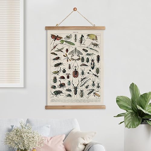 Miniatura 138 de XIAOAIKA Póster de botánica vintage con marco de madera, tabla de plantas venenosas antiguas, arte educativo botánico con especies peligrosas, 1