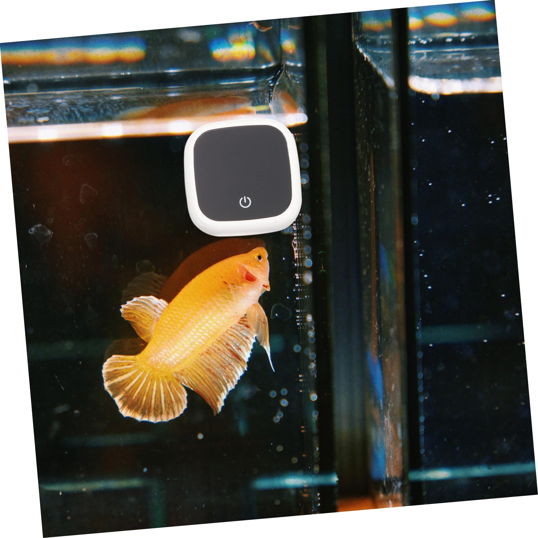 YARNOW 5 Pezzi Termometro Per Acquario Forniture Di Pesce Termometro Digitale Accessori Per Acquari Di Tartarughe Indicatore Di Temperatura Dell'acquario Addominali Bianca