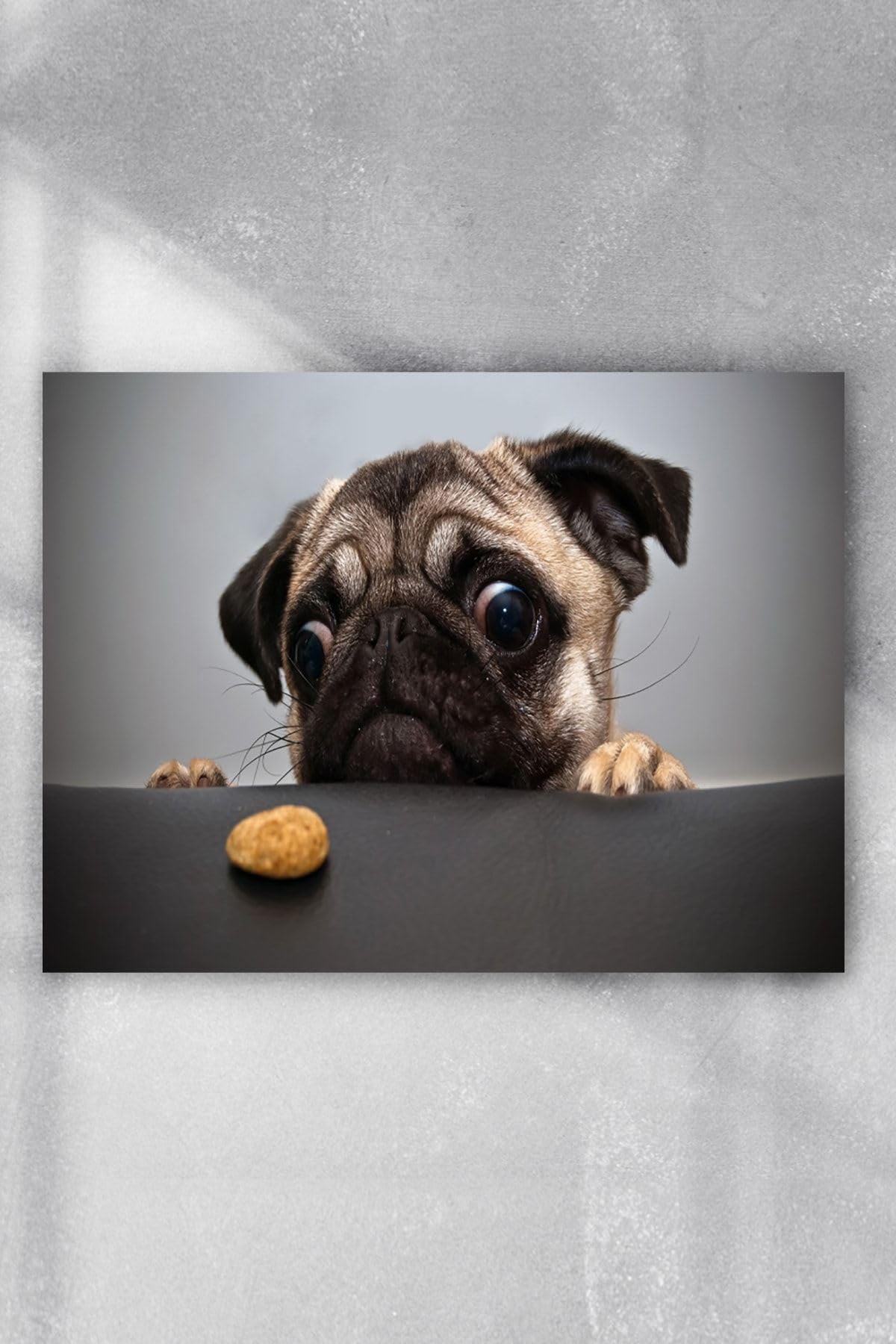 Postermanya (pster5754) Köpekcik Eğlenceli Mizahi Poster