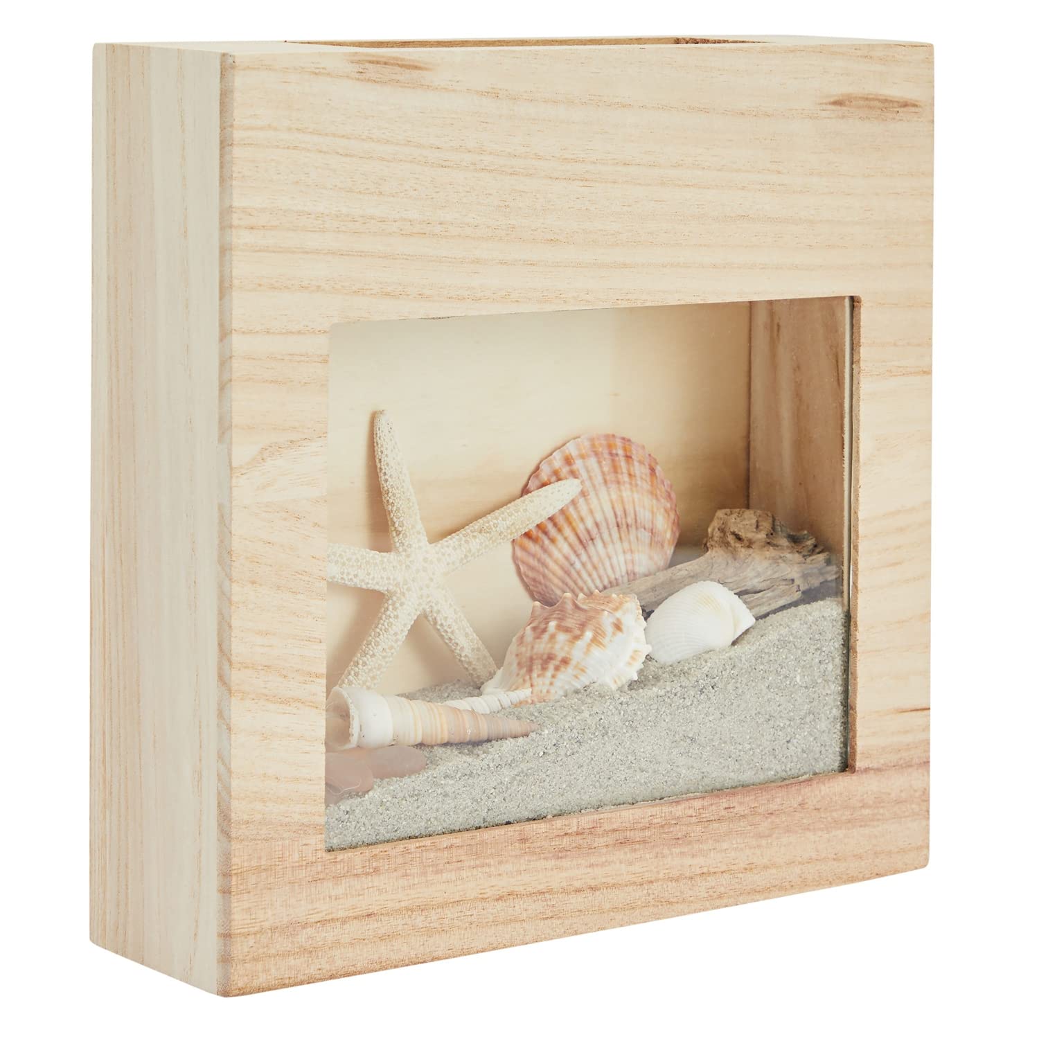 Okuna Outpost Nautical Sea Shell Holder for Seaside Collectibles, Sand, Seashells, Starfish Seashell Decor Box (10 x 3 In)