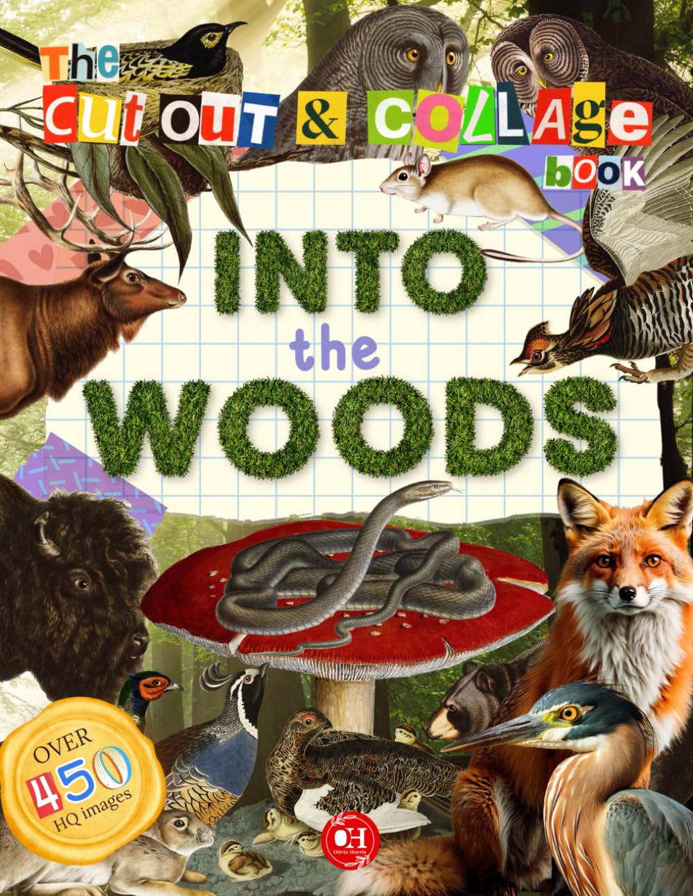 The Cut Out And Collage Book - Into the Woods: Over 450 Forest Nature Illustrations for Paper Crafts Activity, Collaging, Vision Boards, Junk Journals, and Scrapbooking Paperback – June 4, 2024