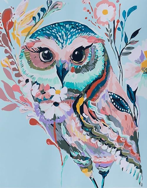 YXQSED WOODEN FRAMED Acrylic Paint by Number Kit On Canvas for Adults Beginner - Rainbow Owl 16X20 Inch