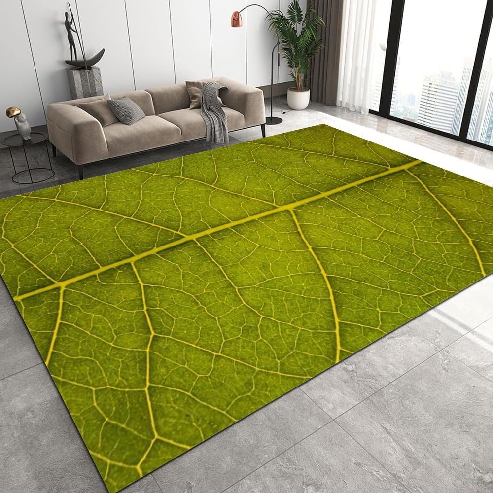 Paillasson chambre décor tapis antidérapant 120 x 160 cm pour salon et enfants