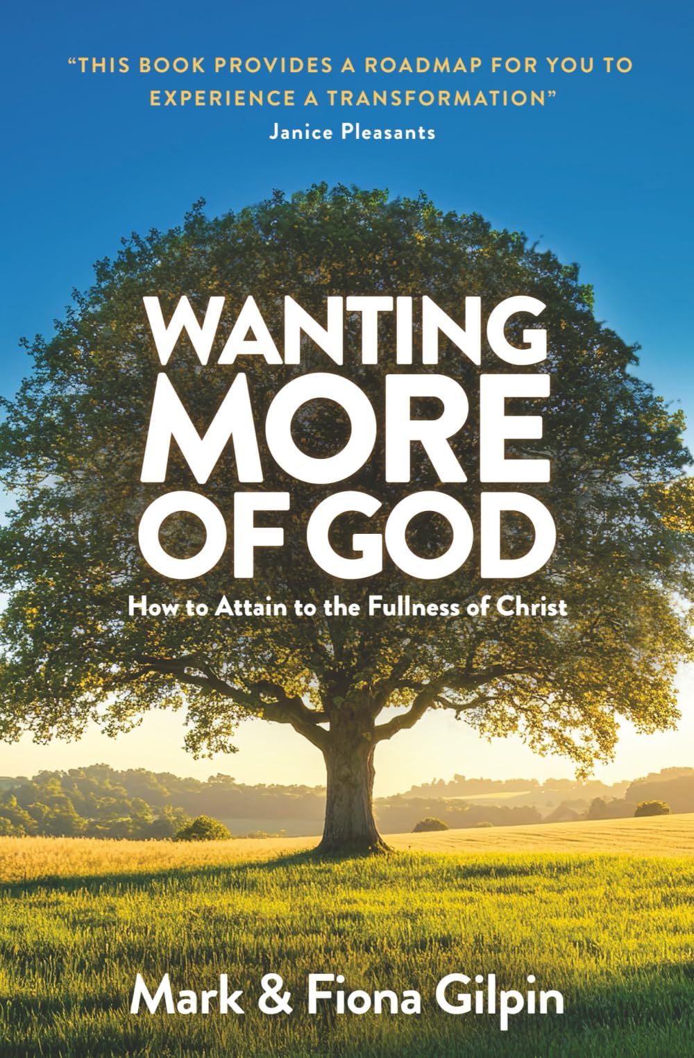 Wanting More of God: How to Attain to the Fullness of Christ through Spiritual Growth and Christian Living