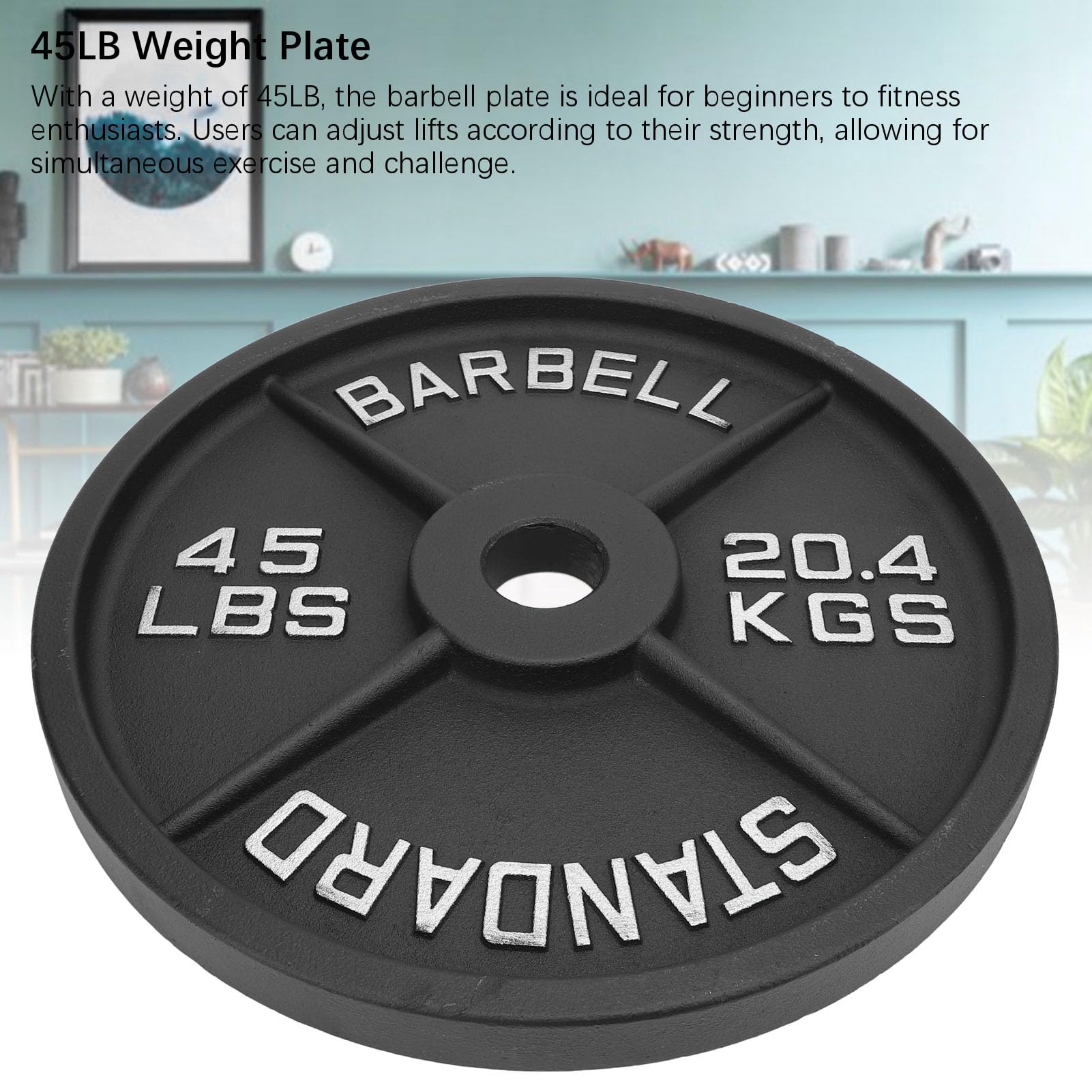45lb Sztanga Talerz, Stop Stali Żeliwny Talerz Obciążeniowy do | 4 żebra dla Lepszego Chwytu, Trwałe do Podnoszenia Ciężarów, Domowej Siłowni lub fitnessu.