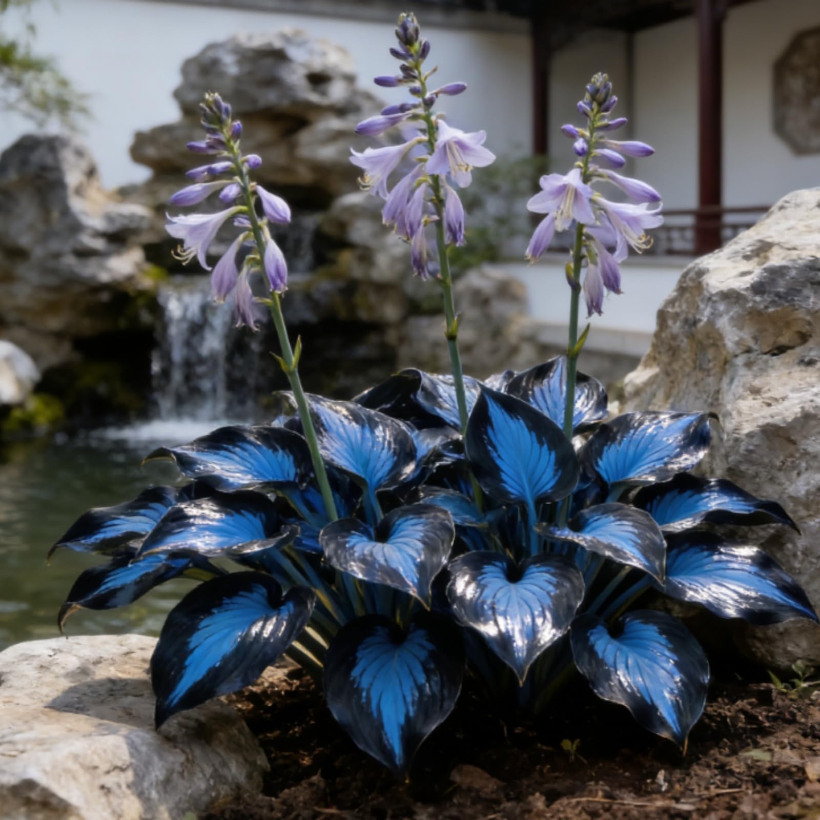 Hostas Bulbs UK,Potted-Plants-Rhizome,Shade-Tolerant Hosta Rhizomes,Hosta Plants for Garden,That Grow Fast,Excellent Display-H-15Rhizomes