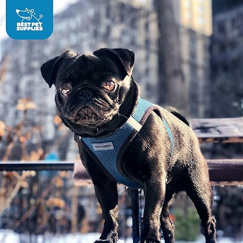 Vista 220 de Best Pet Supplies Voyager Step-in Air - Arnés de malla para todo tipo de clima, reflectante, antitirones, para perro y gato pequeño y mediano, Arnés