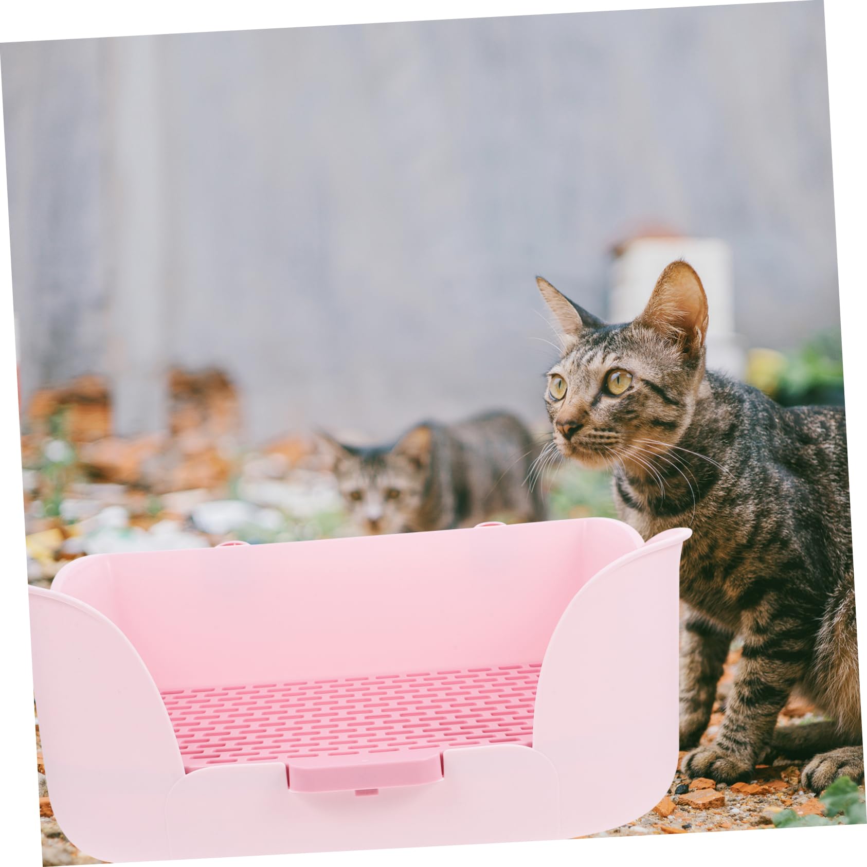 BESTonZON Lettiera per Animali per Conigli e Cavia Design Adatta e Ufficio per Addestramento e Comfort