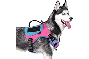 WINGOIN Tactical Dog Vest Andbags