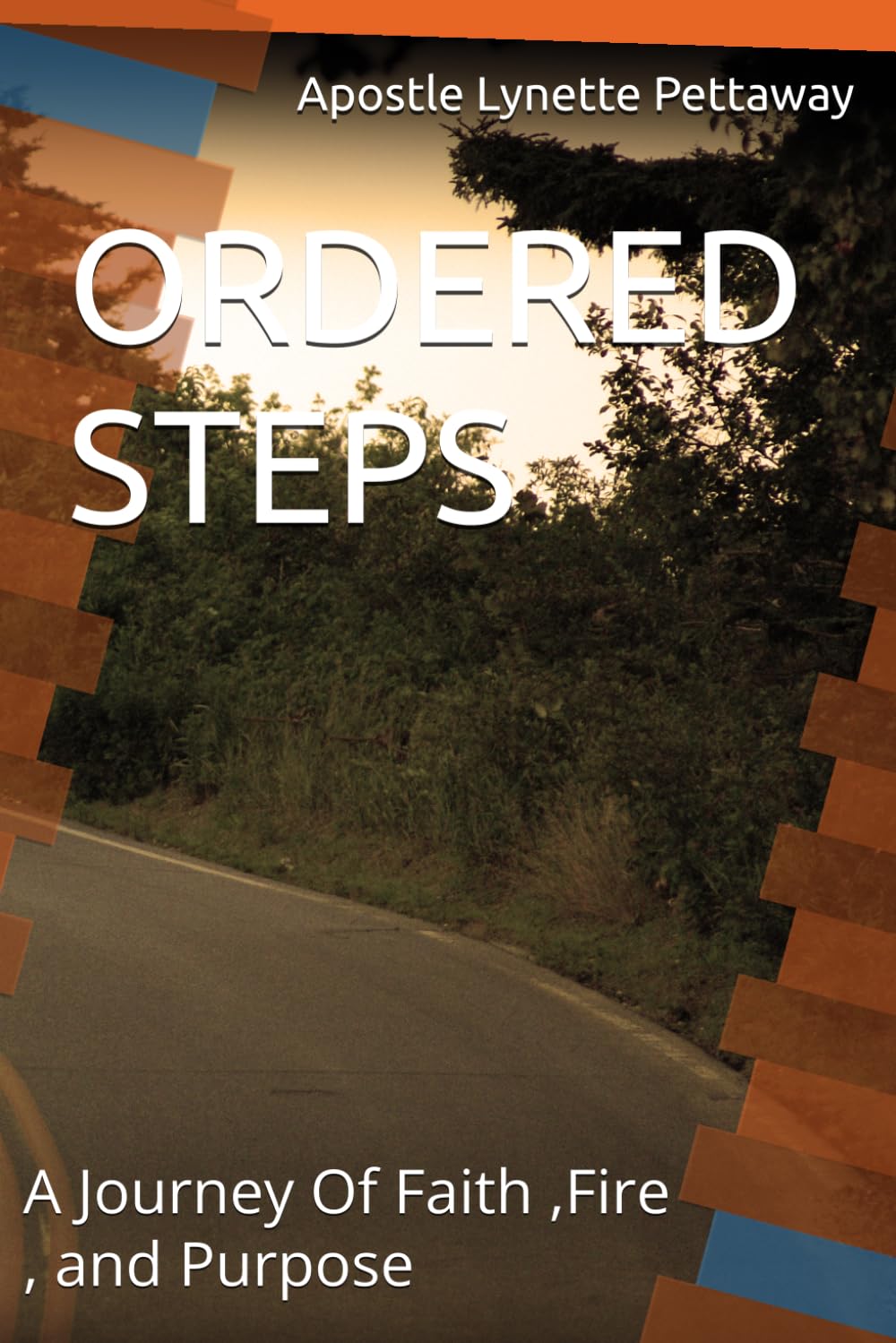 ORDERED STEPS: A Journey Of Faith ,Fire , and Purpose