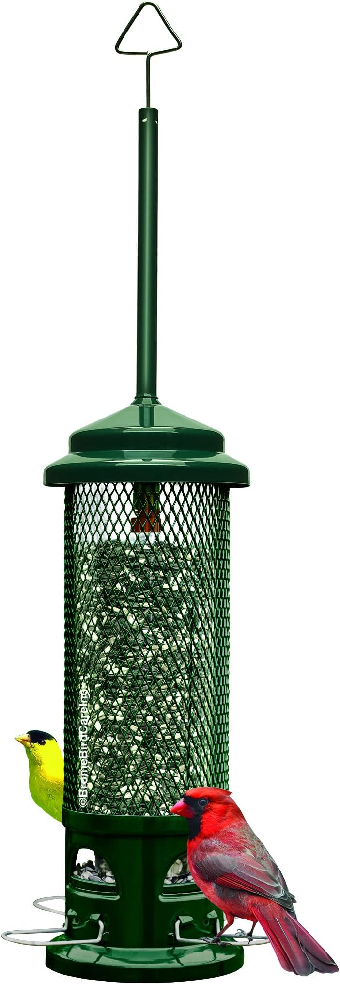 Squirrel Buster Legacy Squirrel-Proof Bird Feeder for Wild Birds – 4 Metal Removable Perches, 2.6 lb Seed Capacity, Chew-Proof Design, Easy to Clean, Green