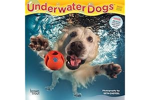Underwater Dogs 2023 Calendar