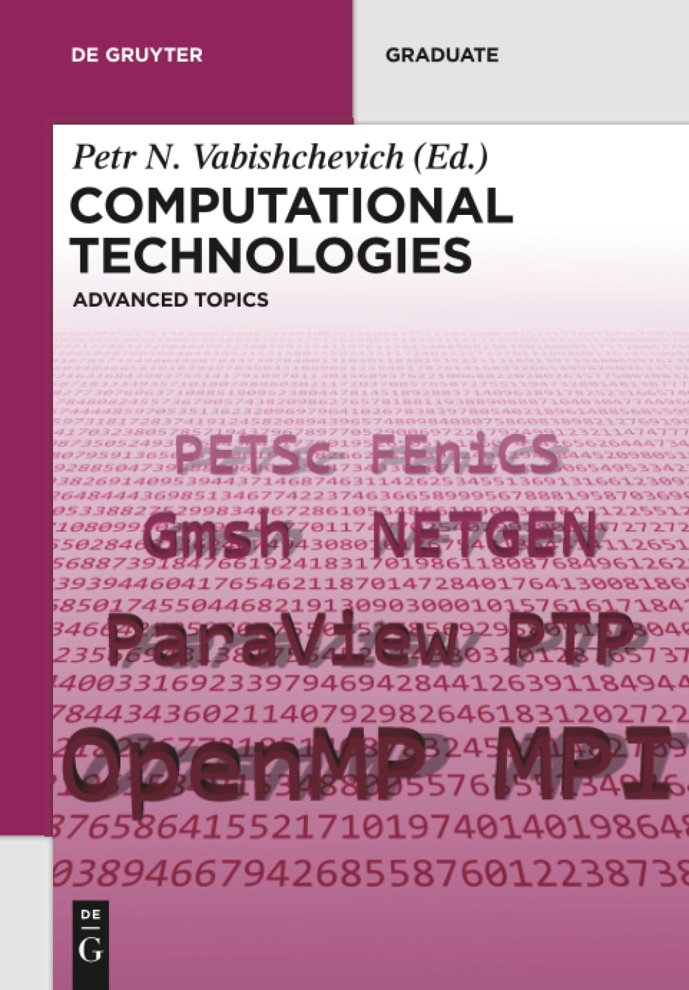 Computational Technologies: Advanced Topics