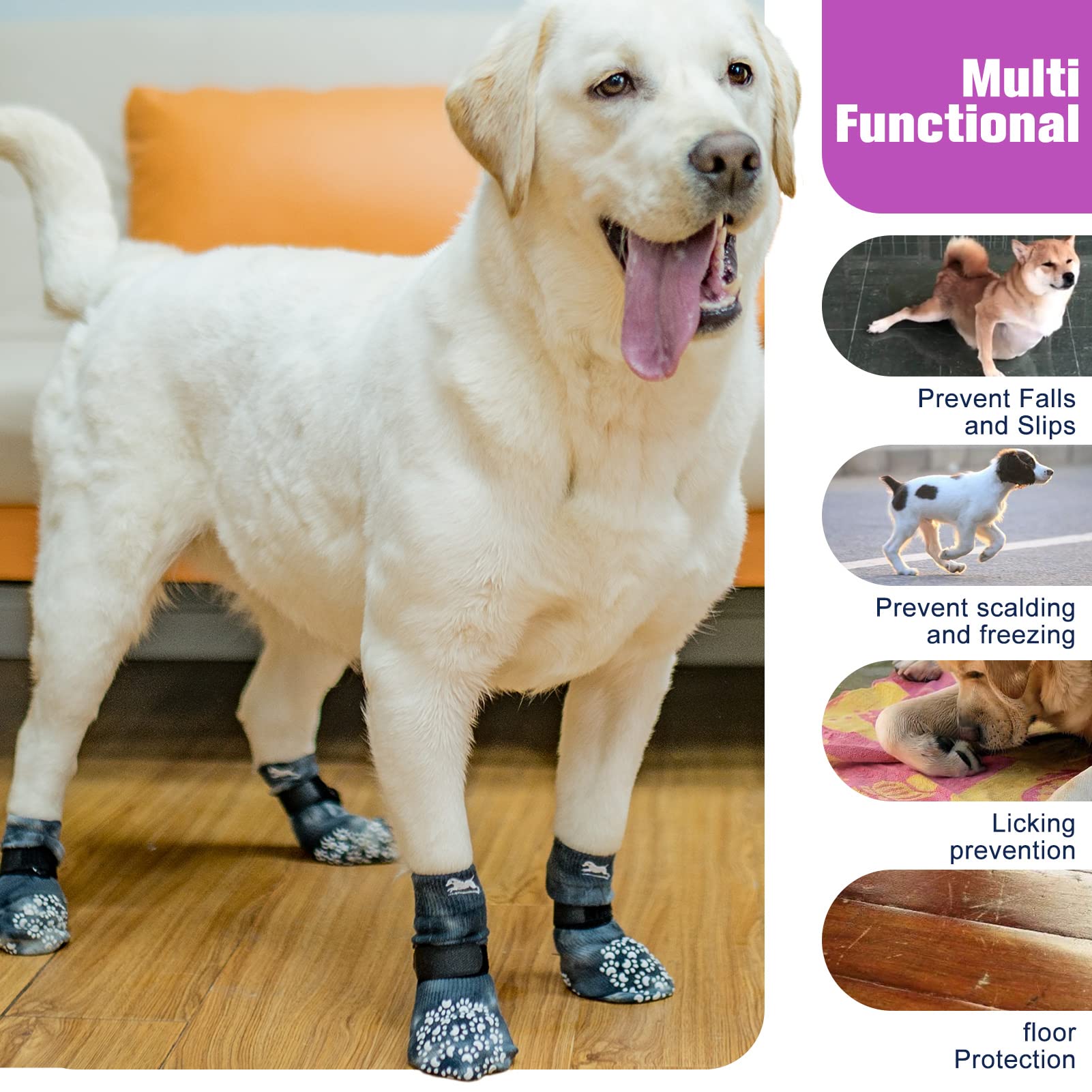 View 6