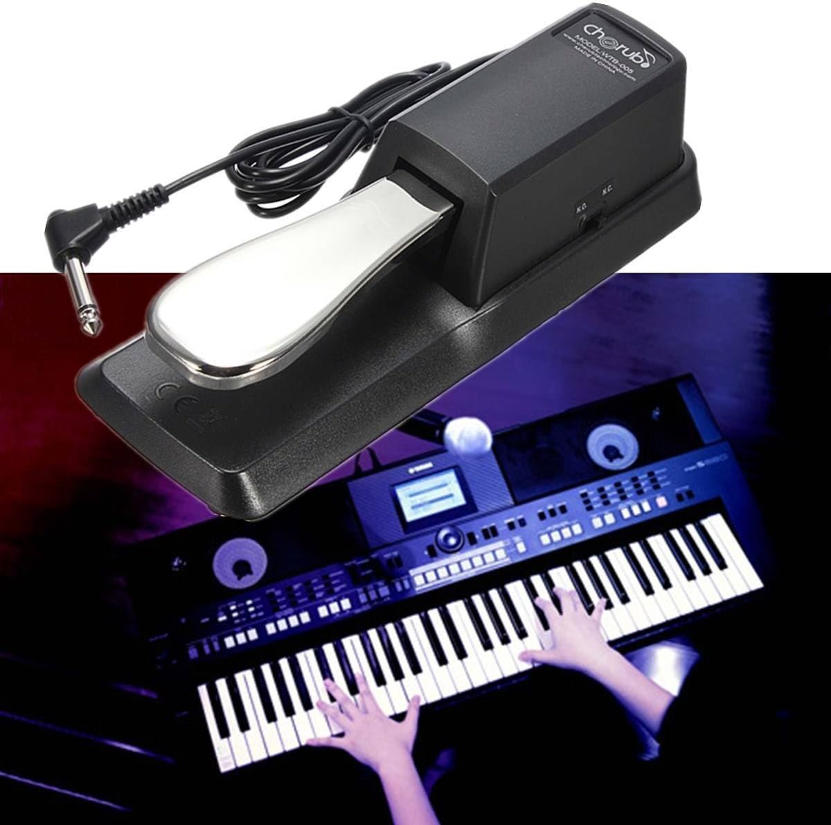 Sustain Pedal for Yamaha Roland Casio Korg Nord Kurzweil Hammond Alesis Moog Ensoniq Behringer Waldorf Arturia Akai Farfisa Studiologic Arp Piano Keyboards and so on