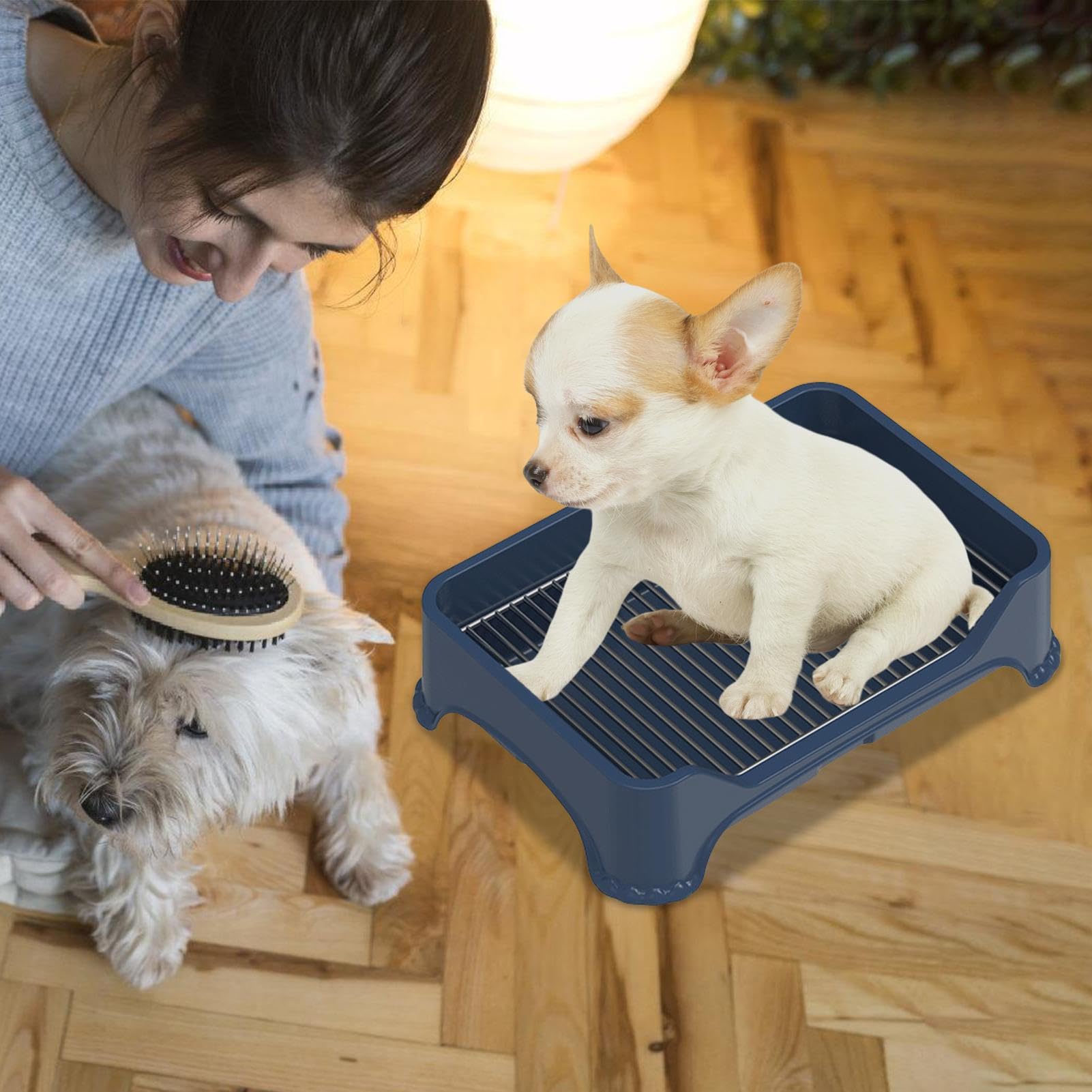 Servizi igienici per cani - Servizi igienici per cuccioli in acciaio inossidabile | Vassoio per vaso portatile per interni per cani, WC per cani da toeletta, tappetino antipasto, vassoio P