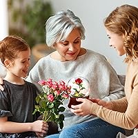 Vista 4 de Caja de música con forma de globo de nieve, globos de nieve musicales de rosas rojas preservadas, globo de nieve con luz LED, globo de agua, regalo