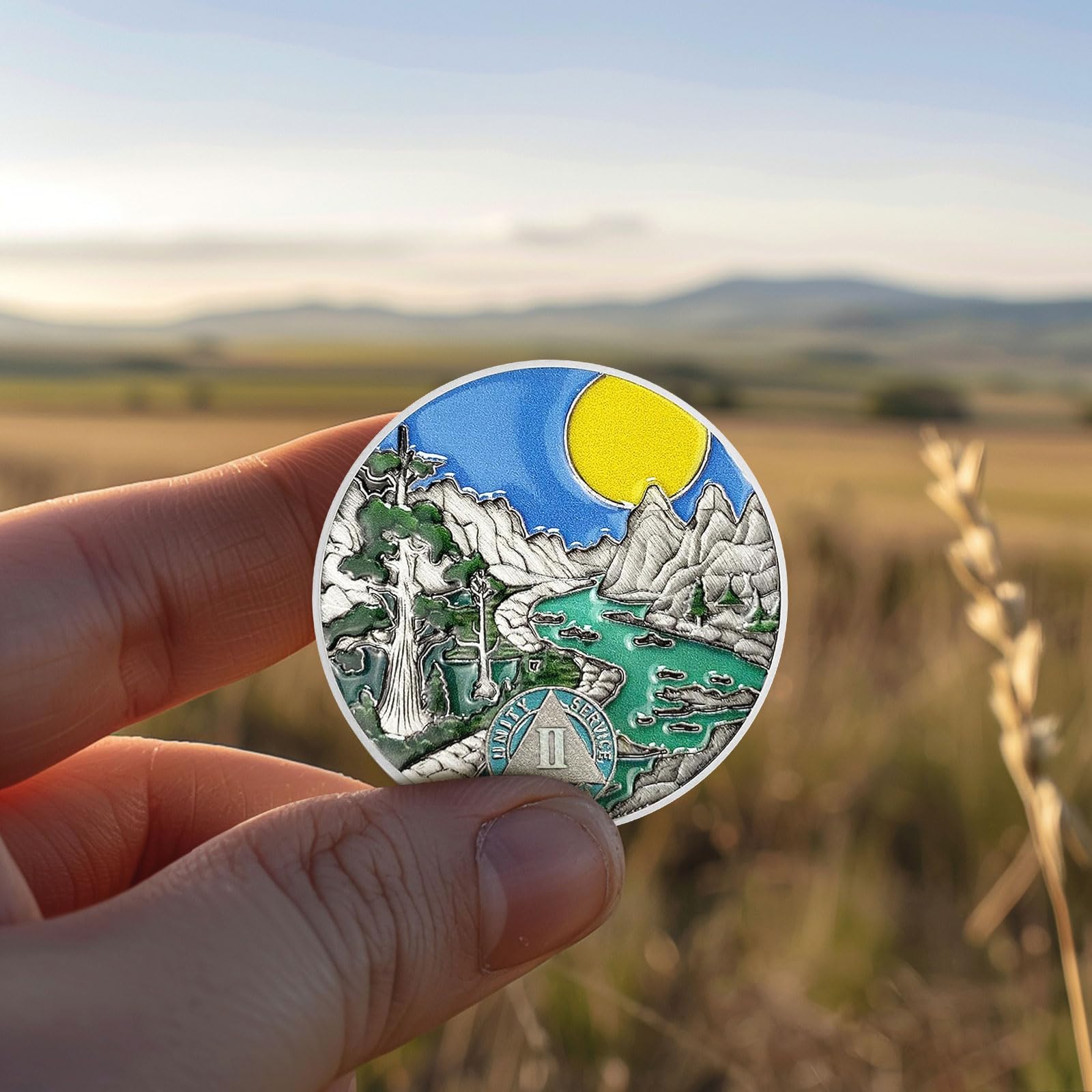 AtSKnSK Moneda de sobriedad de 1 a 10 años con regalos de sobriedad del río forestal para mujeres y hombres, chips AA y medallones, regalo de recuperación de alcohólicos anónimos (2 años)