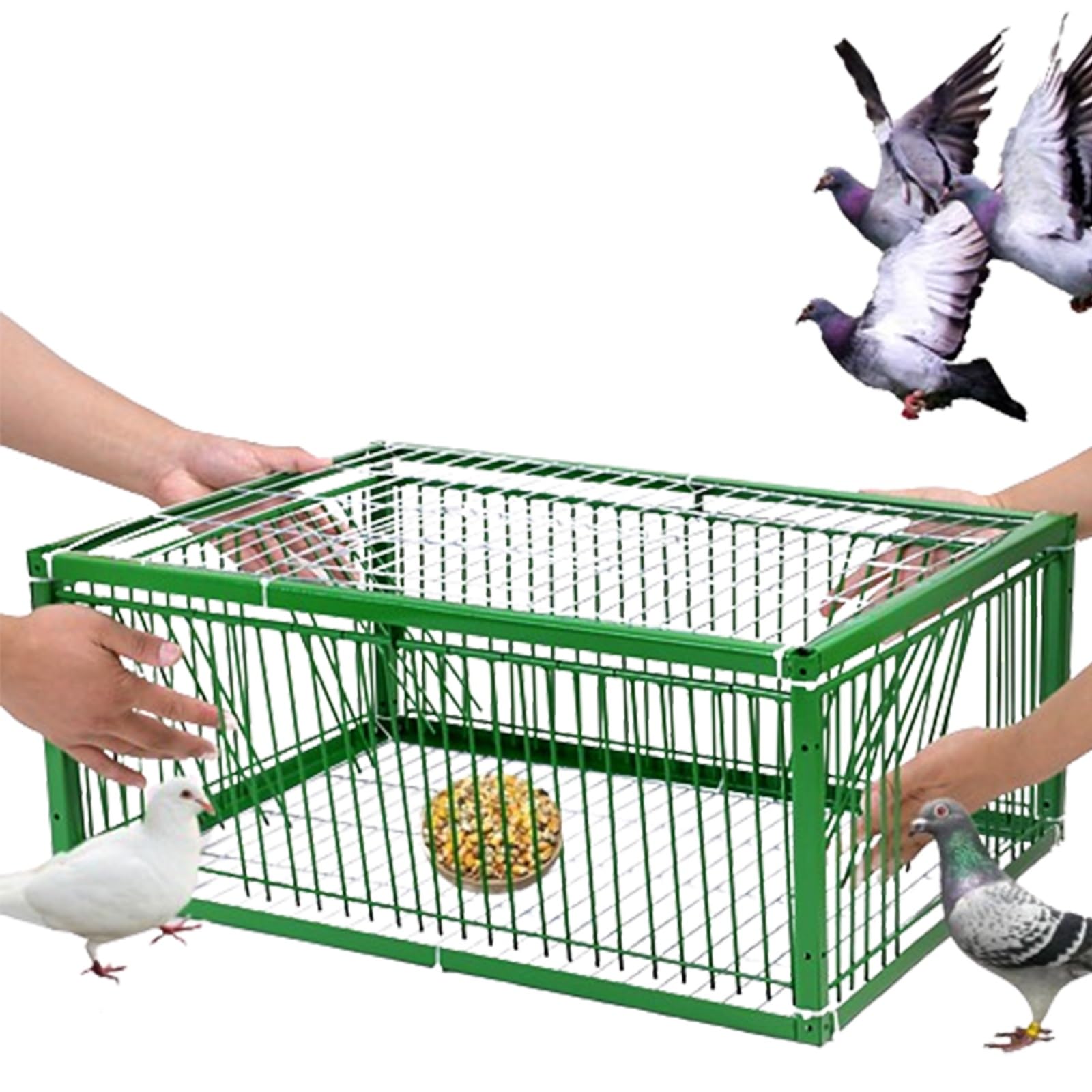 Trampa para pájaros, Jaula Trampa para pájaros, Colector de Trampa, Puerta de gallinero de 40/60/70/90/100 cm para Palomas de Carreras, Palomas, Loros, pájaros, Puerta de Ventana