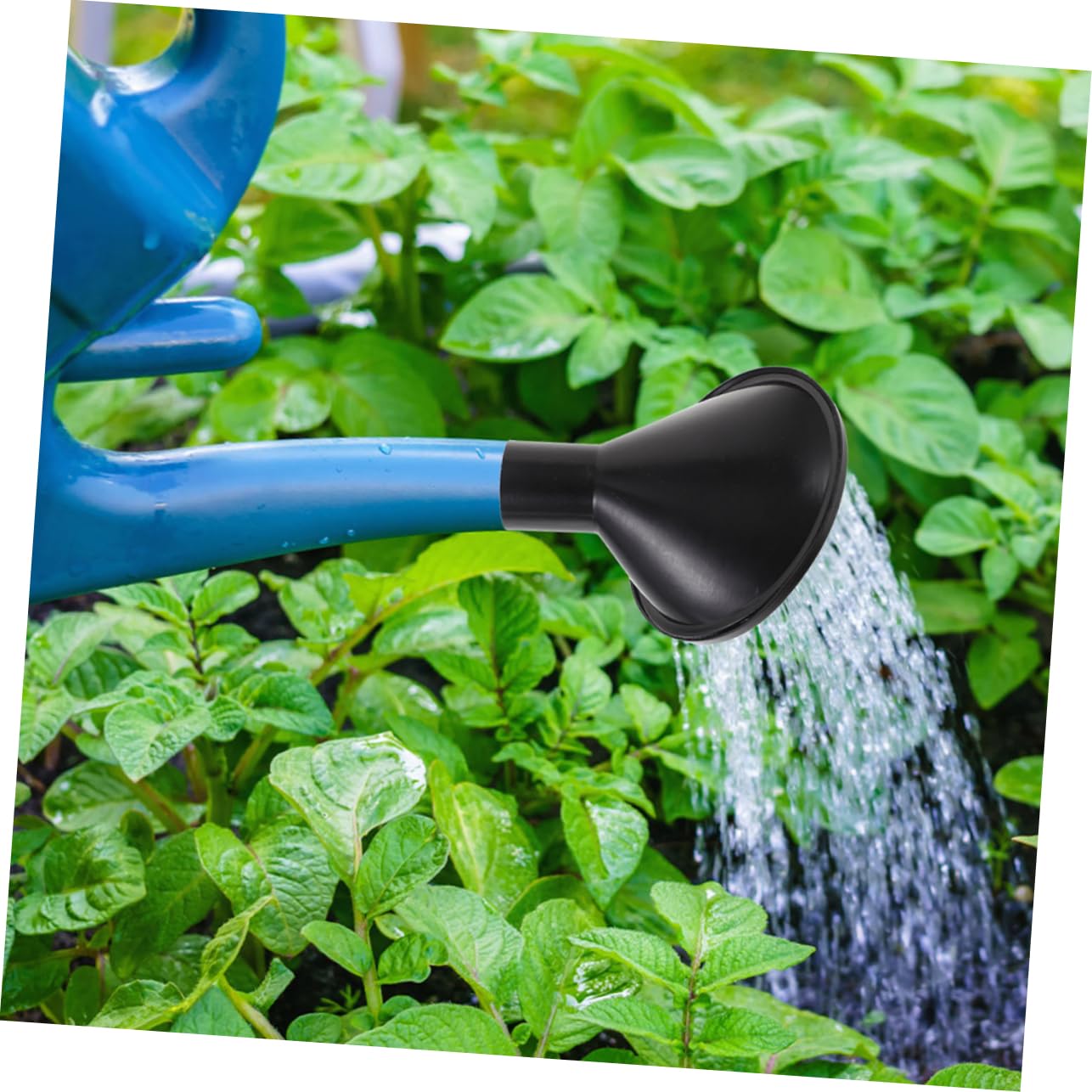 VICASKY 2Pcs Watering Can Sprinkler Head for Plants Durable Watering Kettle Sprayer Cap Design for Flowers Bonsai