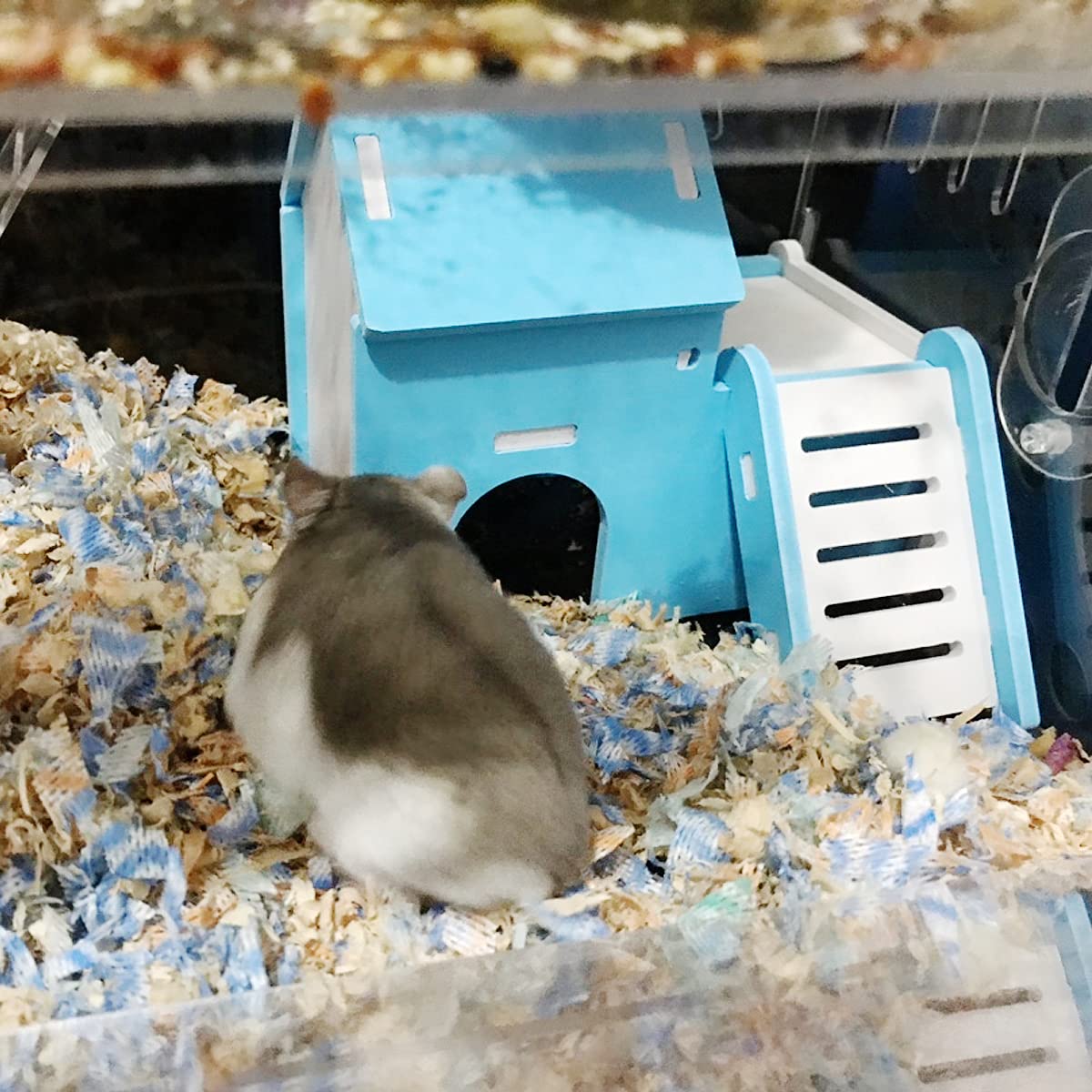 Hamsterhaus Aus Holz - Schlafhütte Für Kleintiere Mit Leiter