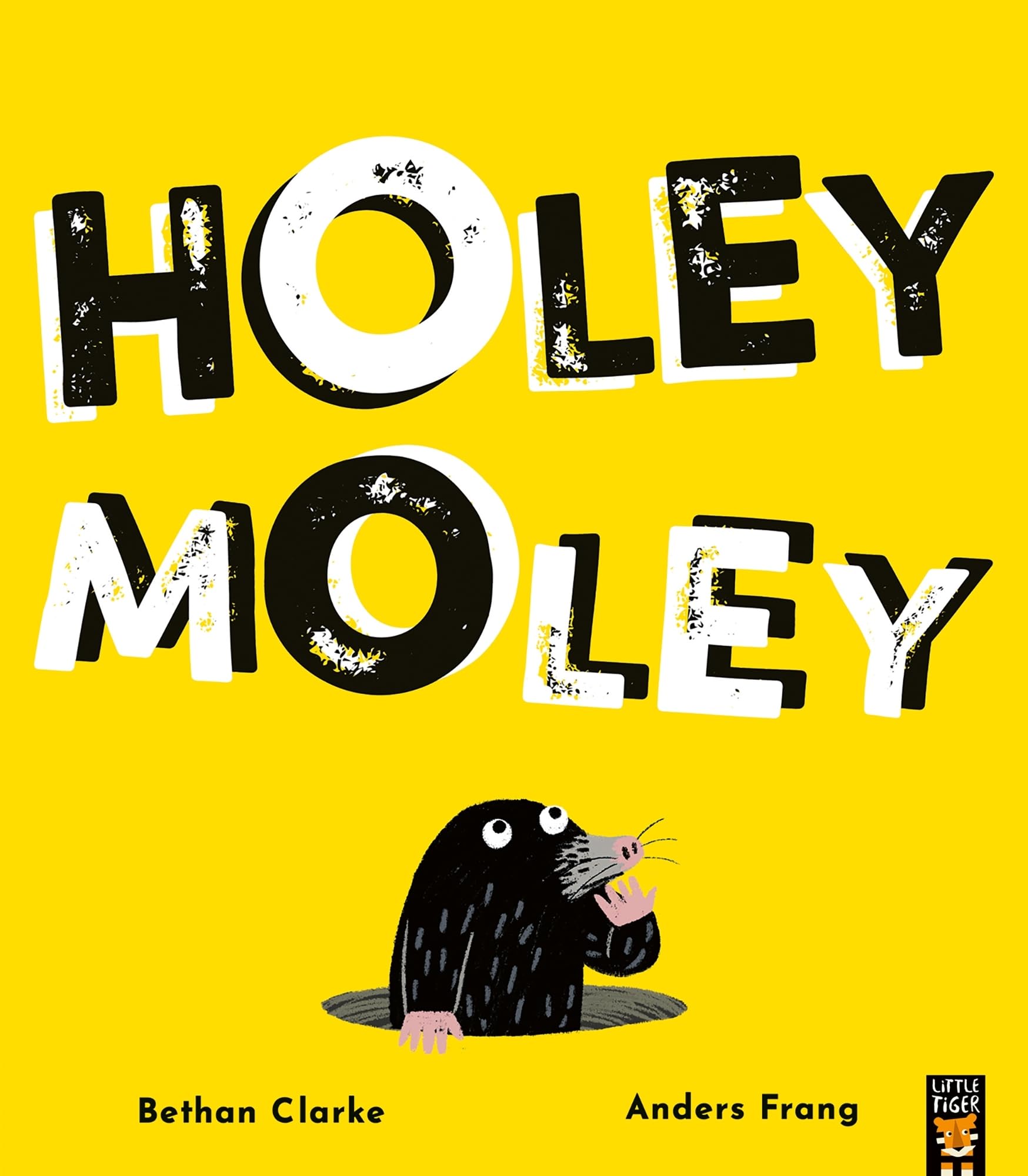 Holey Moley by Bethan Clarke (Paperback Book)