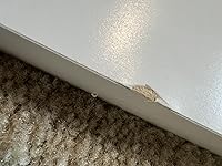 Review Image by Sasha Sasha