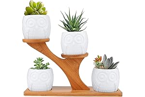 Brajttt White Owl Succulent Pots, 4Pcs Modern Owl Succulent Pots