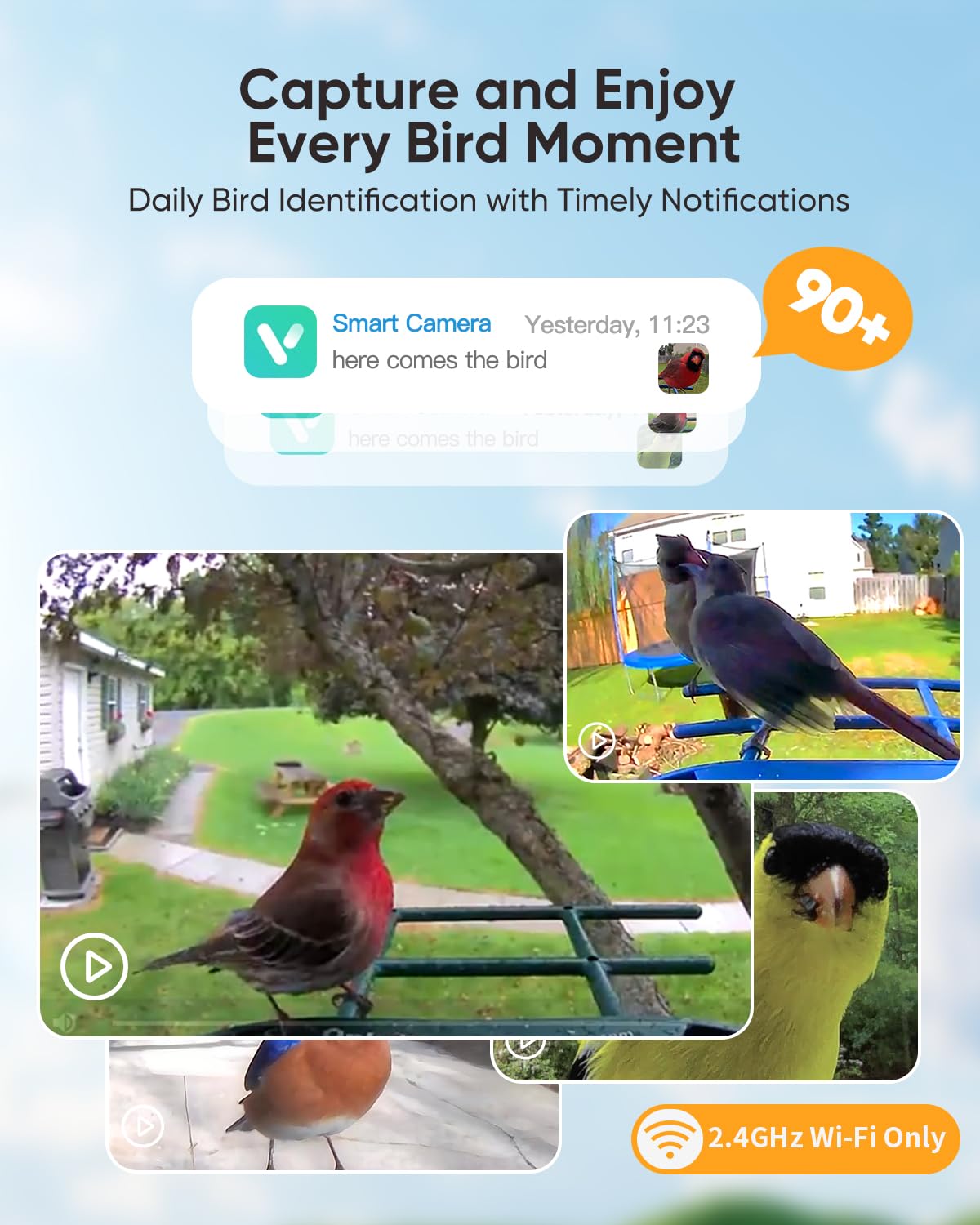 Comedero para pájaros con cámara, cámara alimentadora de colibríes alimentada por energía solar, 1080P para observación de aves con reconocimiento AI, cámara inteligente para amantes de las aves