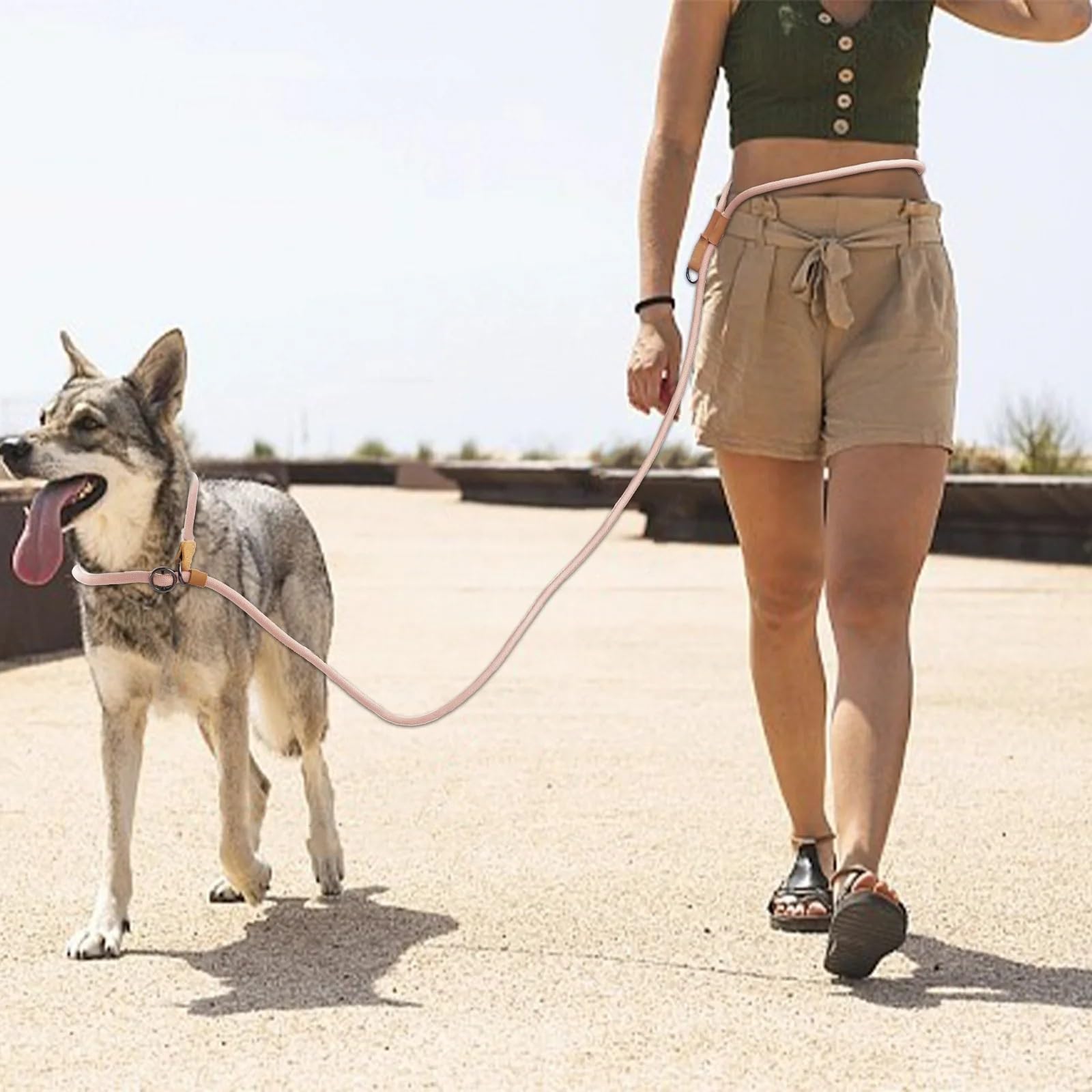 Laisse Main Libre Chien Laisse multifonctionnelle réglable en Forme de P for Chien, avec chaîne de Traction, for la Course et la Marche, Mains Libres(Blue,210CM)