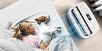 LG 8,000 BTUS SAC Dual Inverter Smart Wi-Fi Portable Air Conditioner, Ultra Quiet Performance 3-in-1 AC, LED Display, Auto Evaporation, 24-Hr Timer & Auto Restart, Cools Rooms up to 350 Sq. Ft, White
