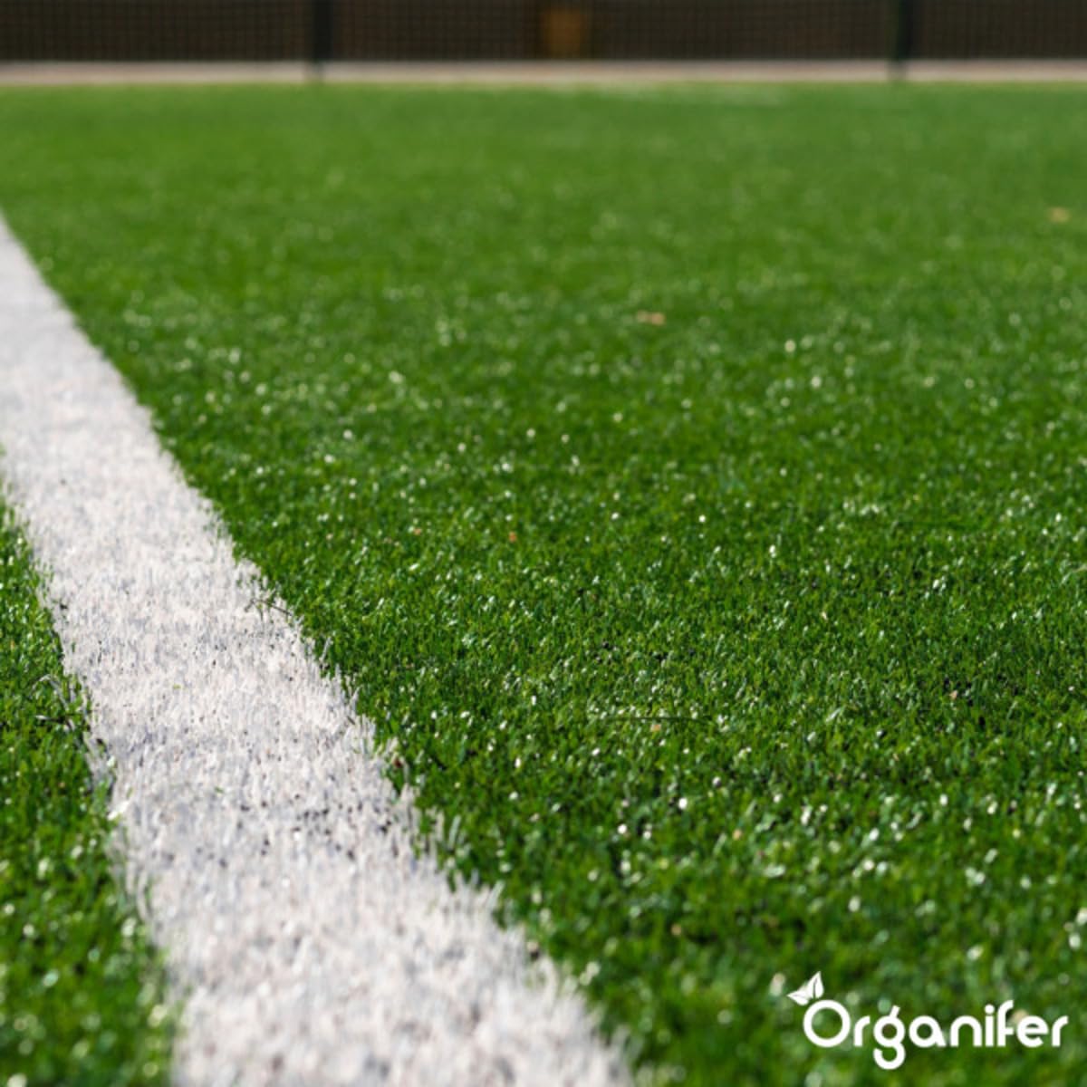 Engrais Pro Turf & Lawn (20 Kg - 665 M2) - Spécialement Pour Grandes Pelouses - Terrains De Sport Et Terrains De Golf - Libération Progressive - Npk+Mg+S (20+5+8 +4 +9) - Organifer