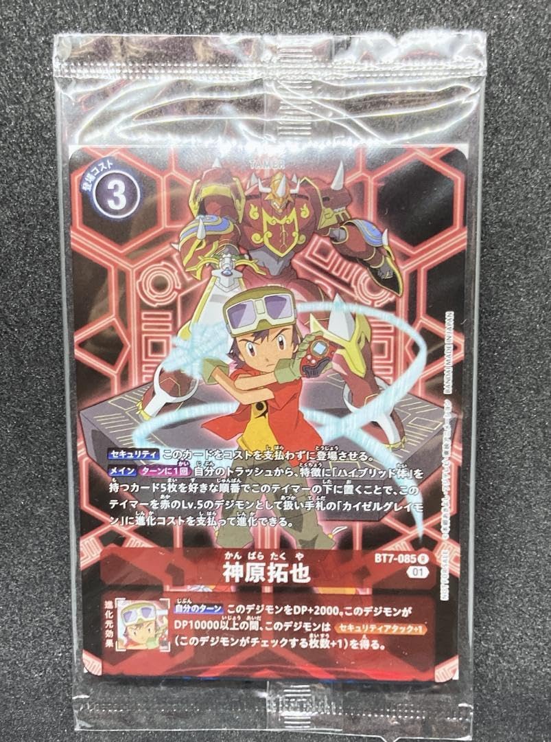 デジモンカードゲーム ディースキャナ 特典プロモ 神原拓也 源輝二 2枚