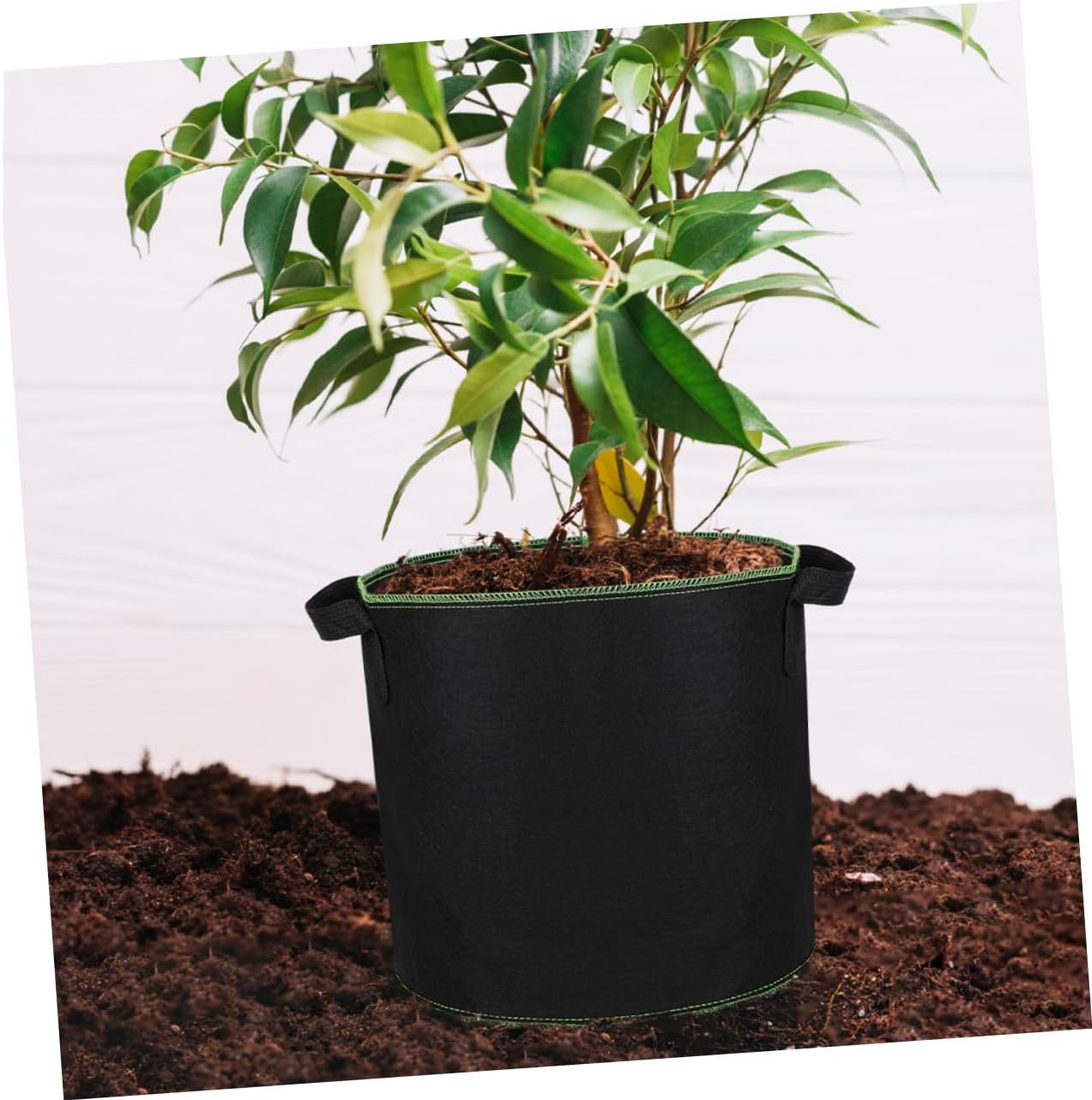 balacoo 24pcs Non-Woven Grow Bags for Plants Thickened Fabric Vegetable Nursery Pots for Growing Fruits Potatoes and Flowers Breathable Design Prevents Root and Water Loss