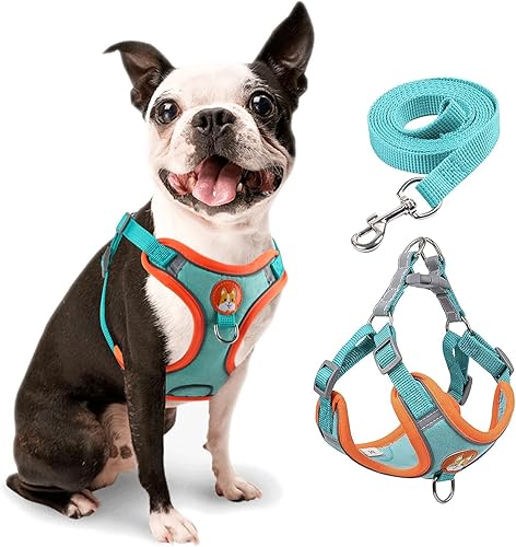Arnés ajustable para perro sin tirones, con 2 clips para correa, arnés acolchado ultra cómodo para perro, arnés reflectante y juego de correa para
