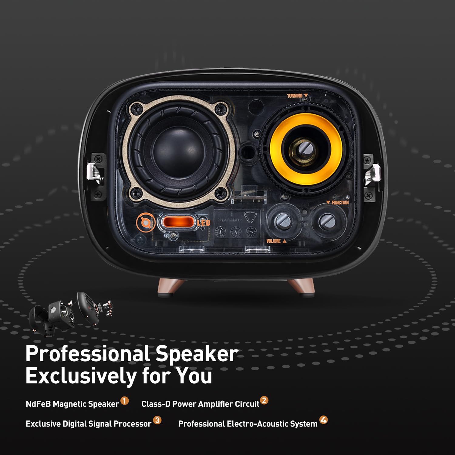Amazon.com: Muzen Radio Bluetooth Speaker, Wild Radiooo Small