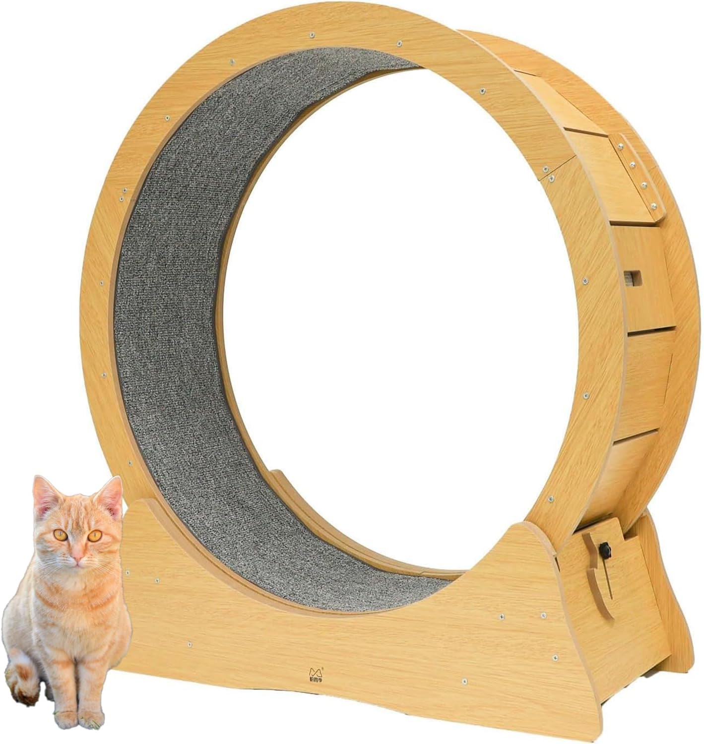 極道神風蹴 ヤクザカミカゼキック 蜘蛛斬丸 なめ猫 スノーボード