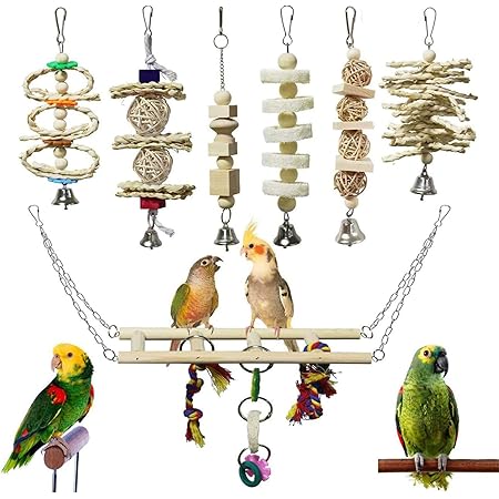 bird bell toy