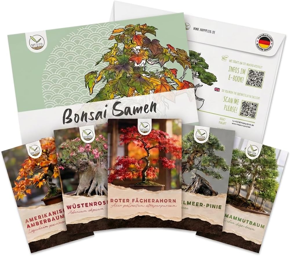 Auergewhnliche Bonsai Samen mit hoher Keimrate - Ghana | Ubuy