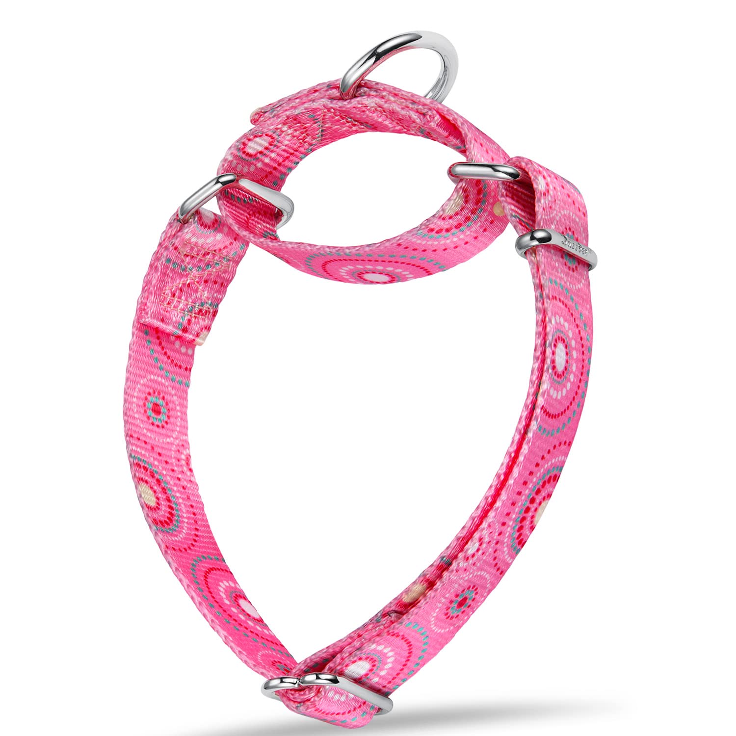 Dazzber Martingale Collar Dog Collar No Pull Pet Collar Heavy Duty Dog Martingale Collars Silky Soft with Unique Pattern for Medium and Large Dogs (
