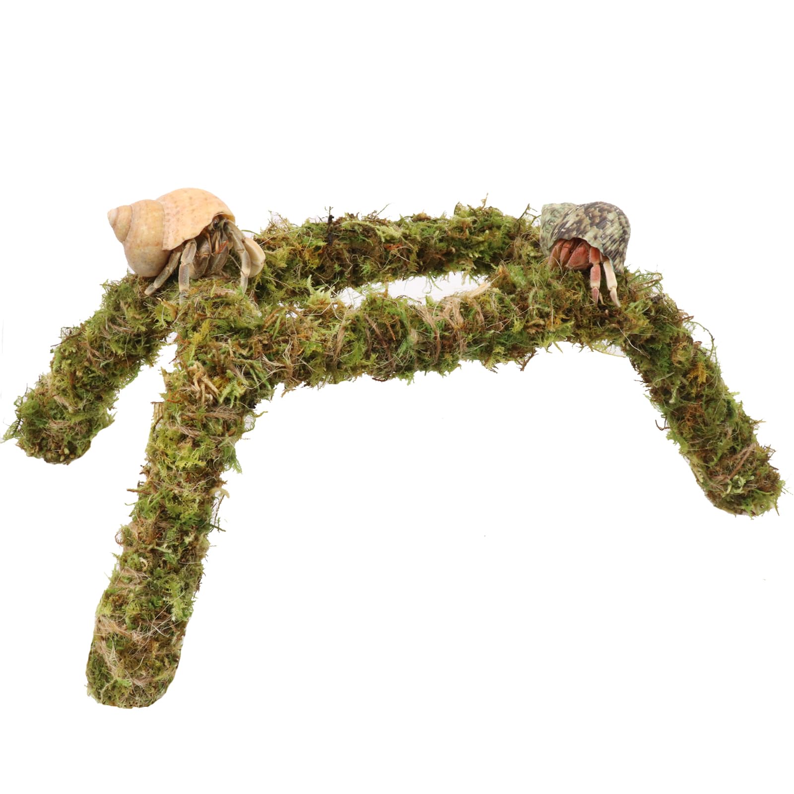 Hermit Crab Climbing Toys, 11 Inch Hermit Crab Accessories, Ideal Hermit Crab Habitat Tank Terrarium Accessories
