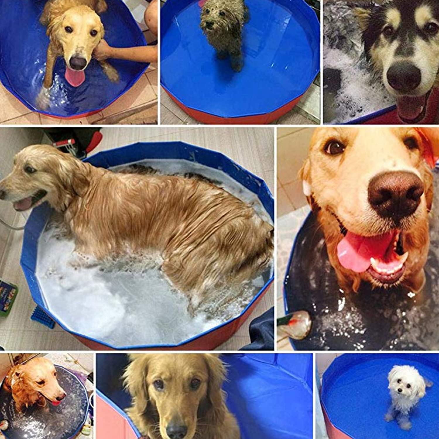 Baignoire pour Chien et Chat Piscine Pliable Portable pour Animal Compagnie Bassin Patageuoire en PVC Fond Antidérapant avec Vidange Latérale