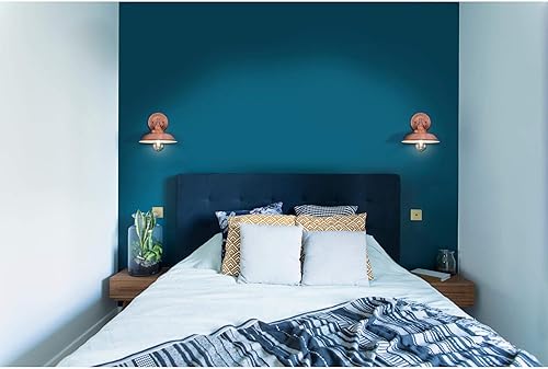 Miniatura 6 de Westinghouse Lighting 6344700 - Lámpara de techo, diseño para un foco., 6370400