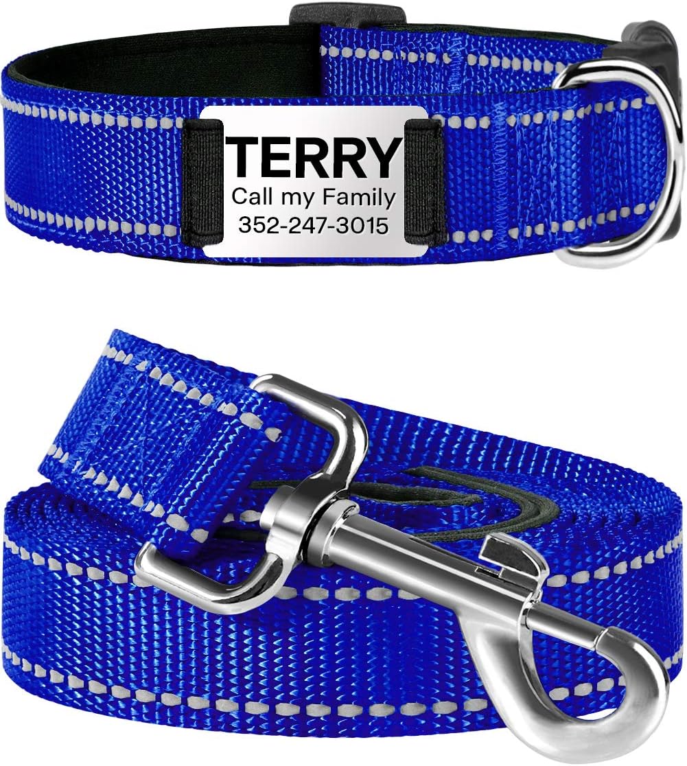 TagME Personalized Dog Collar and Leash Set,Reflective Padded Nylon Dog Collars with 6 Feet Dog Leash,Large Royal Blue